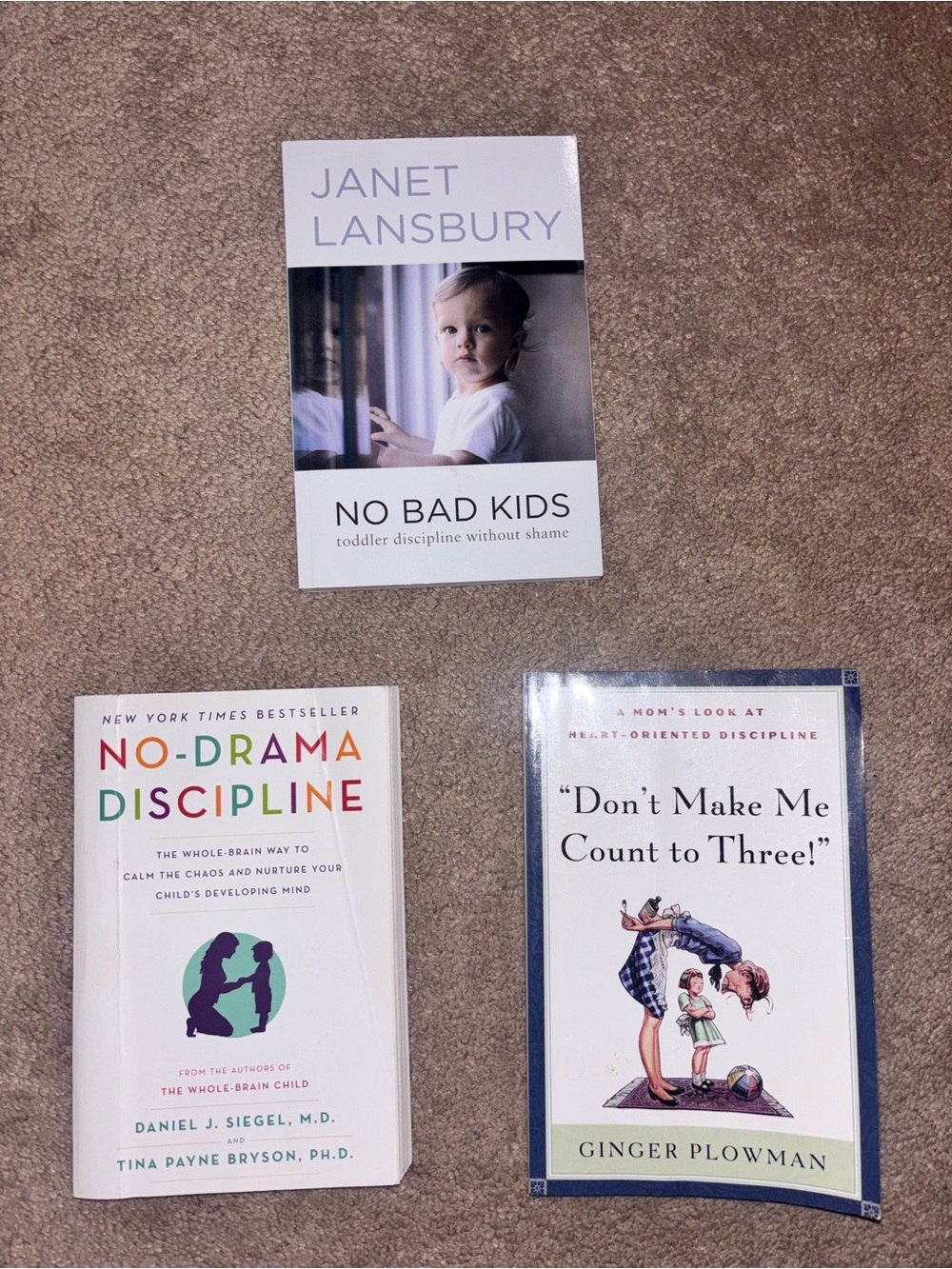No Bad Kids - Toddler Discipline Book